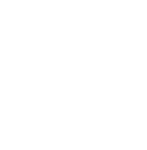 AI-NoE logo white